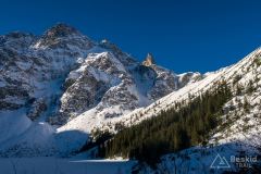 IMG_5624