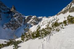 IMG_5626