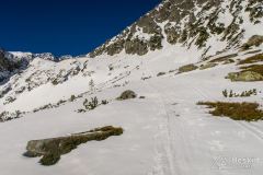 IMG_5627