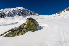 IMG_5674