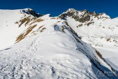 IMG_5700