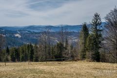 Widok spod Skały na południe (Beskid Śląski)