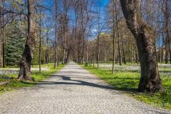 Wiosna w żywieckim parku