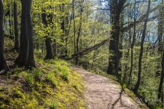 Ścieżka pieszo-rowerowa pod Grapą