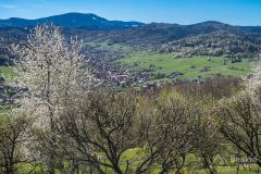 Widok spod Łyski na Przyłęków i Romankę