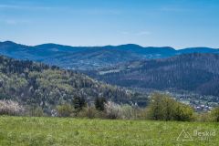 Na grzbiecie pod Łyską