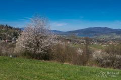 Podjazd pod Ostry Groń