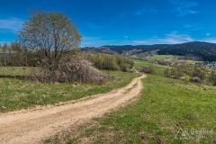 Grzbiet pod Ostrym Groniem