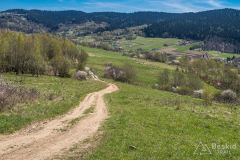 Grzbiet pod Ostrym Groniem