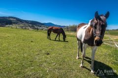 Grzbiet pod Ostrym Groniem