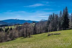 Na żółtym szlaku Pasm Pewelsko-Krzeczowskich