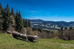 Na żółtym szlaku Pasm Pewelsko-Krzeczowskich