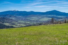 Na żółtym szlaku Pasm Pewelsko-Krzeczowskich