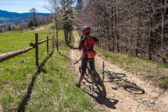 Na żółtym szlaku Pasm Pewelsko-Krzeczowskich