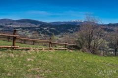 Na żółtym szlaku Pasm Pewelsko-Krzeczowskich