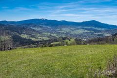 Na żółtym szlaku Pasm Pewelsko-Krzeczowskich