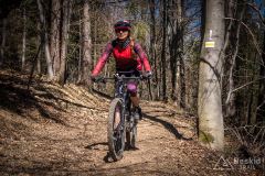 Na żółtym szlaku Pasm Pewelsko-Krzeczowskich