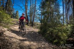 Na żółtym szlaku Pasm Pewelsko-Krzeczowskich