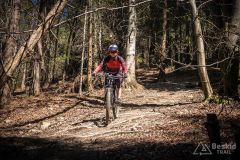 Na żółtym szlaku Pasm Pewelsko-Krzeczowskich