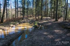 Podjazd żółtym szlakiem ze Świnnej na Jastrzębicę