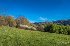 Zjazd z Wójtowskiego Wierchu do Trzebini