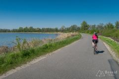 IMG_6197