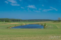 IMG_6264