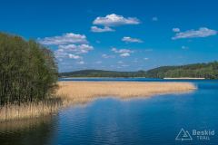 IMG_6288