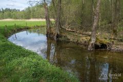 IMG_6312