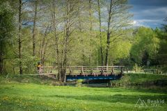 IMG_6330
