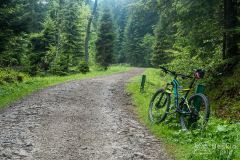 Szlak rowerowy na Przehybę - początek z doliny