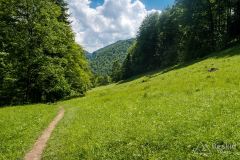 Zjazd niebieskim szlakiem z Przehyby do Rytra