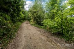 Na szlaku rowerowym z Rzek na Jaworzynę Kamienicką