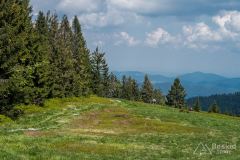 Jaworzyna Kamienicka