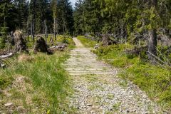 Szlak pomiędzy Jaworzyną Kamienicką a Kiczorą