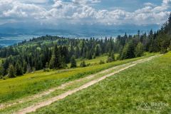 Na czerwonym szlaku z Kiczory na Przełęcz Knurowską