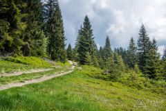 Na czerwonym szlaku z Kiczory na Przełęcz Knurowską