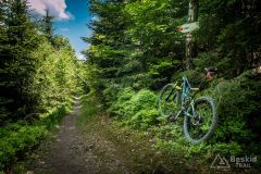 Na czerwonym szlaku ze Studzionek na Lubań