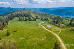 Widok z Lubania na wschód