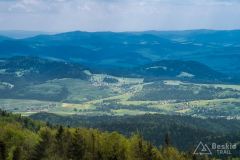 Widok z Lubania na północny-wschód