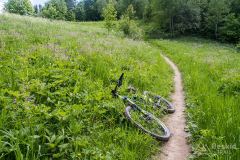 Zjazd z Lubania niebieskim szlakiem do Ochotnicy Dolnej
