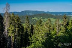 Widok z podjazdu z Ochotnicy Dolnej-Młynne przez Strzelowskie na Gorc