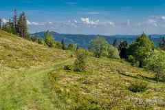 Widok ze Strzelowskich na południe
