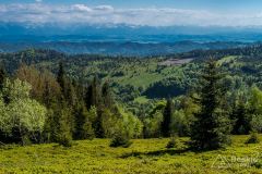 Widok ze Strzelowskich na południe