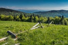 Na hali Gorc Kamienicki