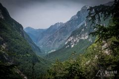 IMG_6558