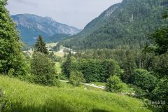 IMG_6574