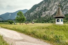 IMG_6578-1