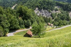 IMG_6604
