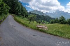 IMG_6612